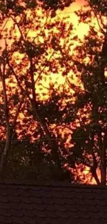 Silhouetted trees against fiery orange sunset sky.