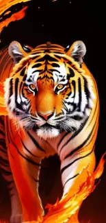 Fiery tiger with flames in a striking mobile wallpaper design.