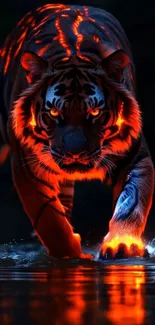 Fiery tiger walking in dark wilderness with glowing accents.