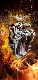 Roaring tiger in fiery flames wallpaper.