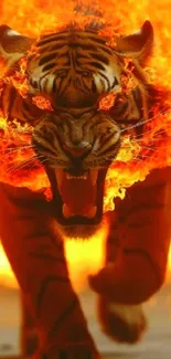 Fierce tiger engulfed in flames, vibrant orange glow.