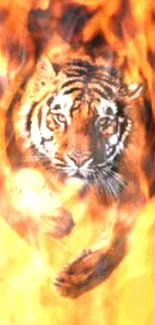 Tiger jumping through vivid flames in a dynamic mobile wallpaper.