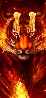 Fiery tiger with flames mobile wallpaper.