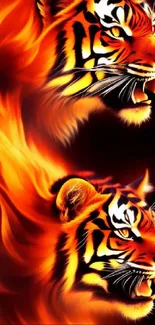 Fiery tiger heads with vibrant flames wallpaper