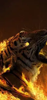 Roaring tiger engulfed in flames against a dark background wallpaper.