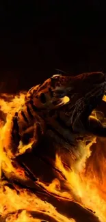 Roaring tiger with fiery flames wallpaper.