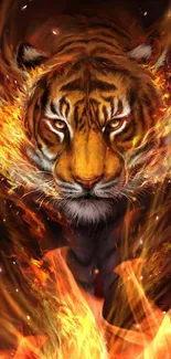 Fiery tiger surrounded by flames in dramatic wallpaper.