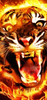 Fiery roaring tiger artwork with blazing flames on mobile wallpaper.