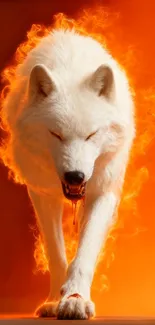 Majestic white wolf surrounded by flames on orange background.