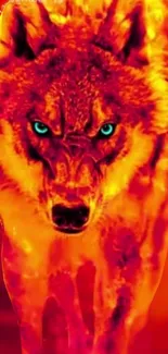 Fiery wolf with blue eyes on red-orange background mobile wallpaper.