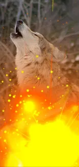 Fiery wolf howling in bright forest background wallpaper.