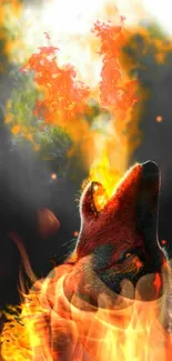 Wolf howling in fiery flames wallpaper, perfect for mobile background.