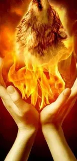 Fiery wolf cradled by hands with vibrant flames.