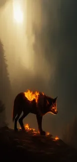 Fiery wolf silhouette in a misty forest.