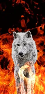 Majestic wolf ablaze in vibrant flames on mobile wallpaper.