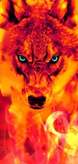 Fierce wolf with blue eyes surrounded by flames in a stunning mobile wallpaper.