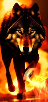 A majestic wolf strides through fiery orange flames, evoking a sense of power and beauty.