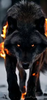 A fierce wolf with fiery accents in a dark woodland setting.