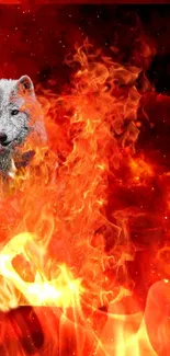 A dynamic wallpaper featuring a wolf surrounded by roaring flames against a red background.