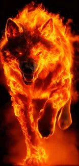 A fierce fiery wolf engulfed in flames on a dark background.