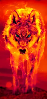 Fiery wolf with blue eyes on a red background.