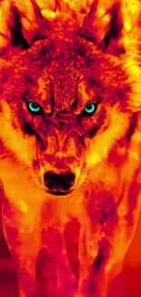 Fiery wolf with blue eyes against orange backdrop.