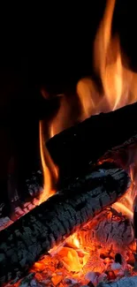 Close-up of flickering flames over burning wood. Vibrant and intense.