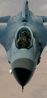 Dynamic view of a fighter jet flying through the sky, highlighting its sleek design.
