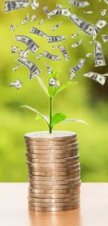 Coins and plants symbolize financial growth and prosperity on a green background.