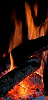 Fire Flame Campfire Live Wallpaper