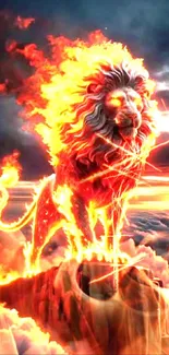 Fire Flame Carnivore Live Wallpaper