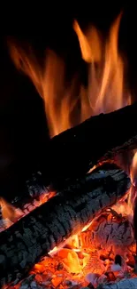 Fire Flame Charcoal Live Wallpaper