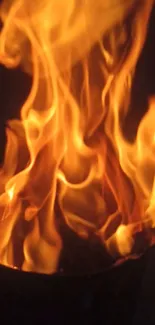 Fire Flame Heat Live Wallpaper