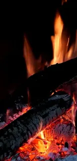 Fire Flame Heat Live Wallpaper