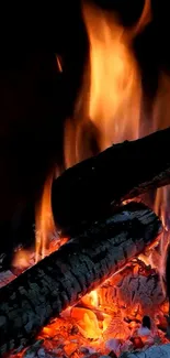 Fire Heat Charcoal Live Wallpaper