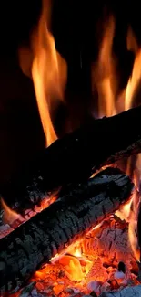 Fire Heat Flame Live Wallpaper