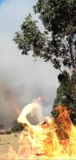 Firefighters tackle a blazing wildfire with smoke rising.