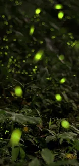 Fireflies glowing along a serene forest path at dusk.