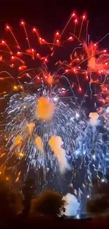 Fireworks Atmosphere World Live Wallpaper