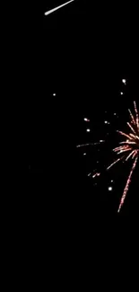 Fireworks Sky Midnight Live Wallpaper