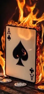 Flame Fire Card Game Live Wallpaper