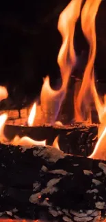 Close-up of vibrant orange fireplace flames.