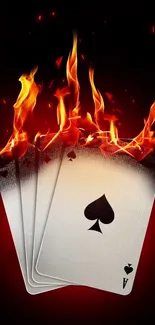 Playing cards on fire with vibrant flames and dramatic effect.