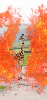 A surreal mobile wallpaper featuring a giraffe engulfed in bright orange flames.