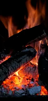 Vibrant mobile wallpaper of flaming logs with glowing embers.