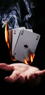 Flaming playing cards levitating above a hand.