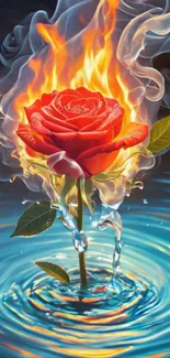 Flaming rose emerging from water with vibrant contrast.