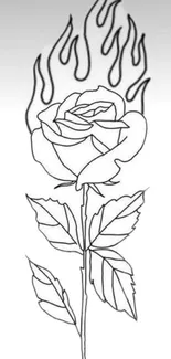 Minimalist flaming rose line art on a white background.