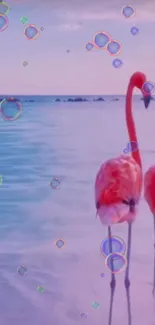 Two flamingos standing on a tropical beach with bubbles floating.