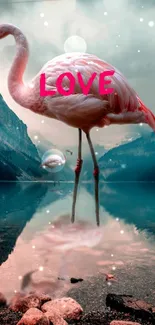 Flamingo standing in a lake with 'LOVE' written across it.